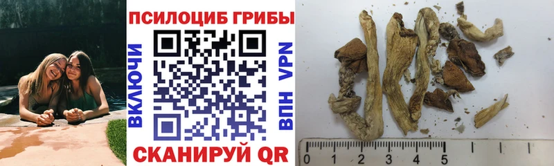 Галлюциногенные грибы Magic Shrooms  Сретенск 