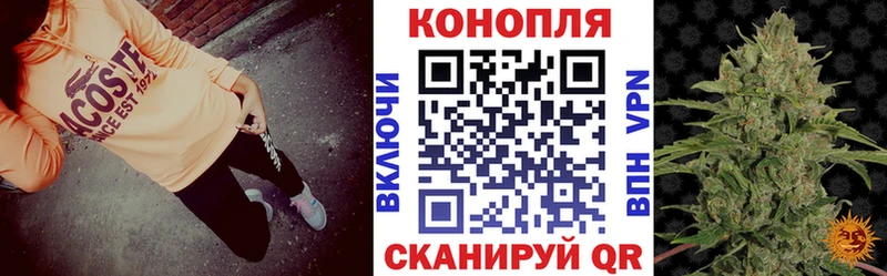 Канабис индика  Сретенск 